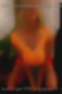 bushtiger999 Bridgeport CT