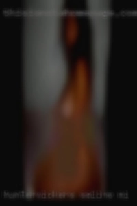 HunterVickers Saline MI