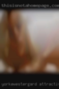 yorkewestergard attractive horny wives